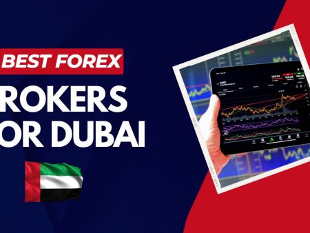 Top 7 Best Forex Brokers in Dubai (UAE) 2025