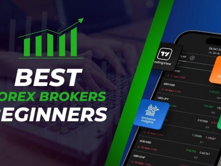 5 Best Forex Broker for Beginners in 2025