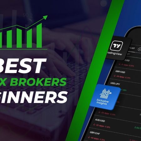 5 Best Forex Broker for Beginners in 2025