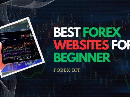 Top 7 Best Forex Websites for Beginners: Your Ultimate Resource