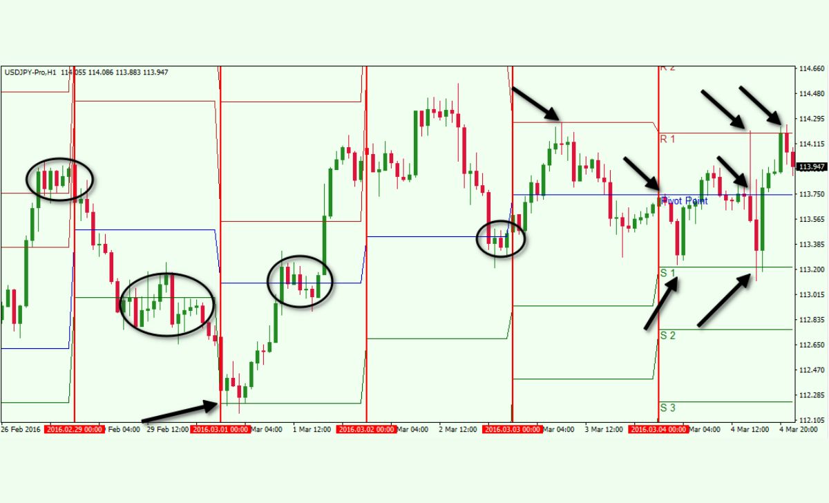 Pivot Points in Forex help identify entry and exit points through support and resistance levels.