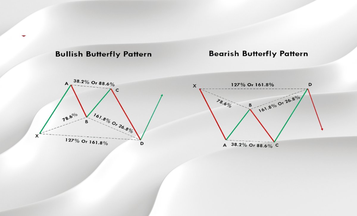 Structure of the Butterfly Pattern