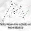 Gartley Pattern: How to Identify and Trade It Effectively