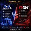 AvaTrade vs XM: Regulation, Fees & Platforms Compared