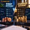 Cent Account vs Standard Account: Key Differences Explained