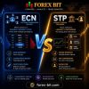ECN vs STP: Key Differences Every Forex Trader Must Know