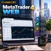 MetaTrader 4 Web: Access, Features & Broker Support